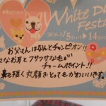 DSCN7958