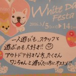 DSCN7959