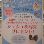 DSCN7964