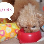 DSCN9391