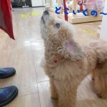 DSCN9413