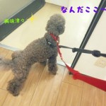 DSCN9440