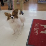 DSC00168