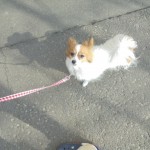 DSC00175