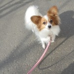 DSC00177