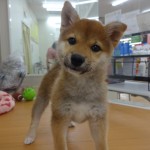 DSC01579
