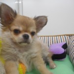 DSCN8885