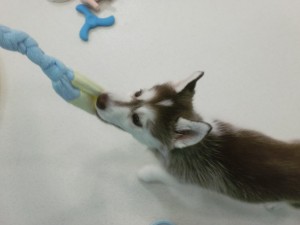 CIMG0441