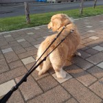 DSCN2529