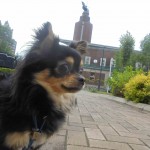 DSC00956