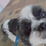 DSC01421