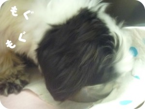 もかちゃん2