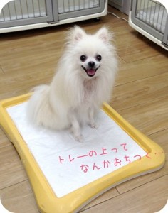 しゅうちゃん2