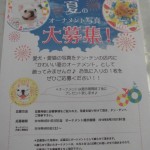 CIMG8245