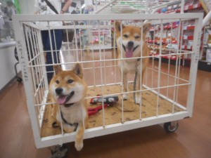 DSCN4858