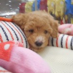 DSCN9629