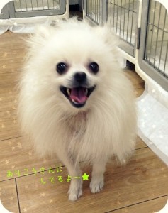 しゅうちゃん1