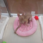 DSCN5475