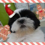 DSC05293