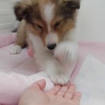 CIMG0229