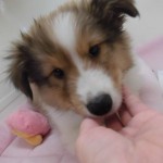 CIMG0236