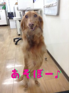 れ1