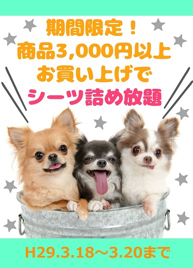 blogしーつ