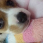 CIMG0414