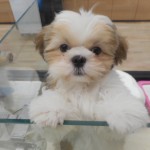 DSCN9925