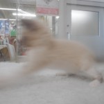 DSCN9938