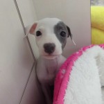 CIMG0157