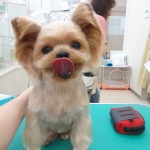 DSC02449