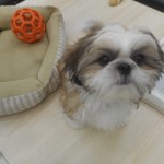 DSCN0325