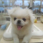 DSCN0349