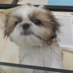 DSCN0353