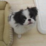 DSCN0357