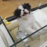 DSCN0361
