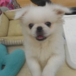 DSCN0371