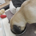 DSCN0385