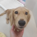 DSCN9995