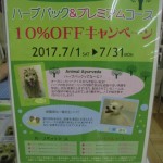 CIMG0381