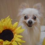 DSCN0165