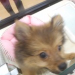 DSCN0230