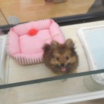 DSCN0234