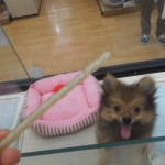 DSCN0236