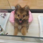 DSCN0245