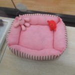 DSCN0246