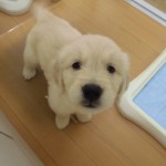 CIMG1681