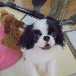 DSC09361