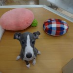 DSC09991